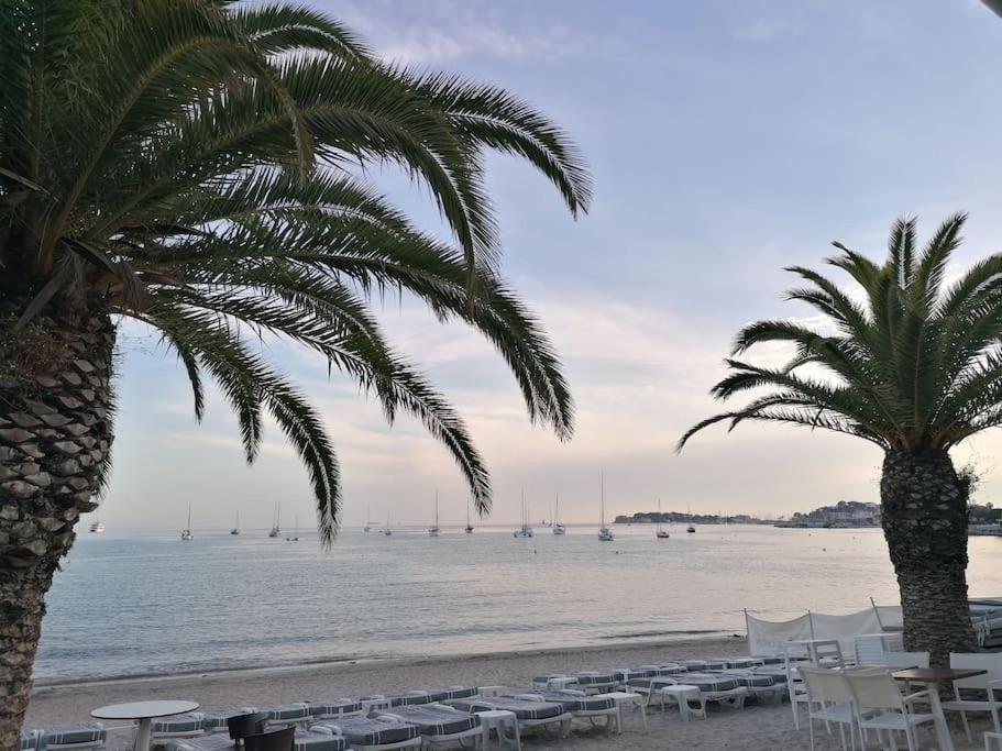 "Le Palmier Dore", Cosy T3 A 3 Minutes A Pied Des Plages, Parking Et Clim Sanary-sur-Mer Dış mekan fotoğraf